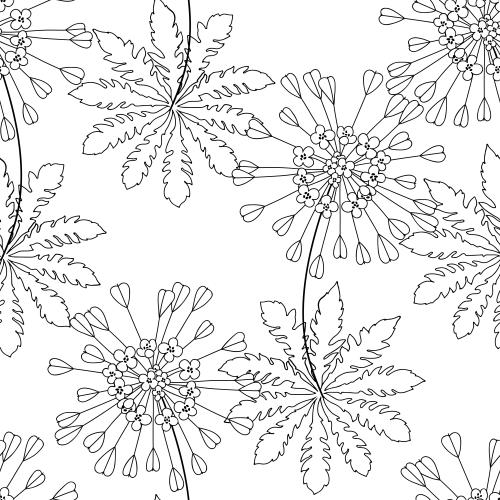 Vector image stylized flowers black outlines on white