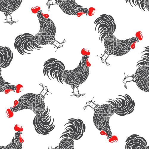 Rooster. Vector roosters on white