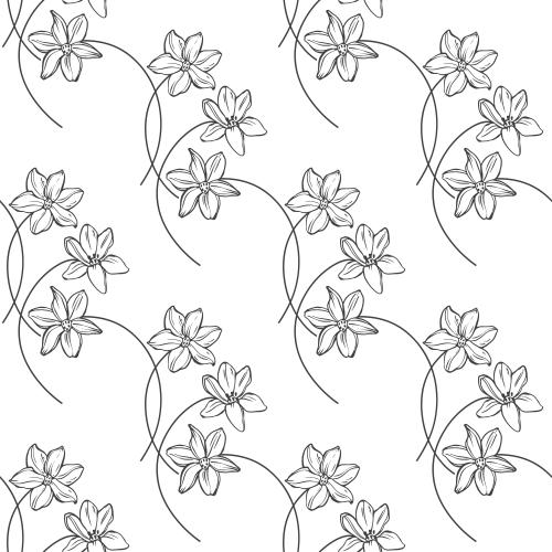 Illustration flowers on white