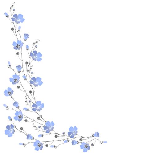 Flax. Vector blooming flax, place for text on white, corner composition