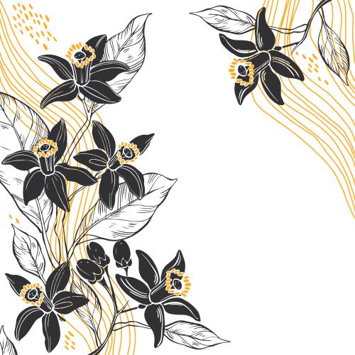 Neroli. Vector neroli flowers