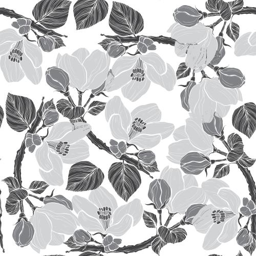 Apple tree. Vector monochromatic silhouettes of blooming apple tree branches on white