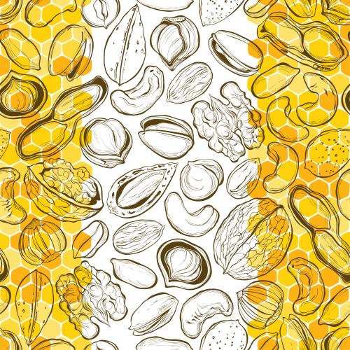 Hazelnut. Vector colored honeycombs with honey, walnuts, peanuts, almonds, pistachios, cashews, pistachios