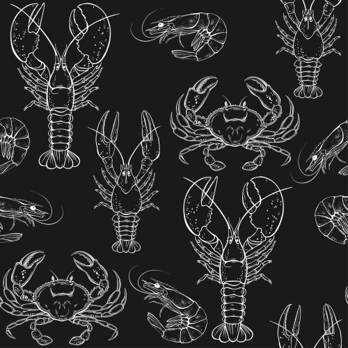 Crayfish. Vector crabs, lobsters, crayfish, shrimp, white outlines on black