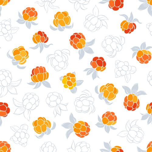 Cloudberry. Vector moroška, contours and colorful silhouettes on white