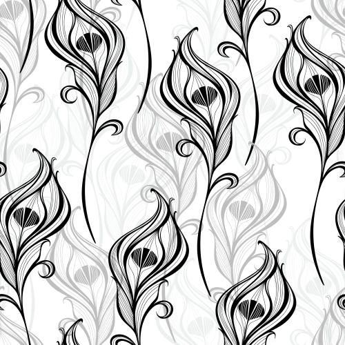 Feather. Vector monochromatic peacock feathers on white