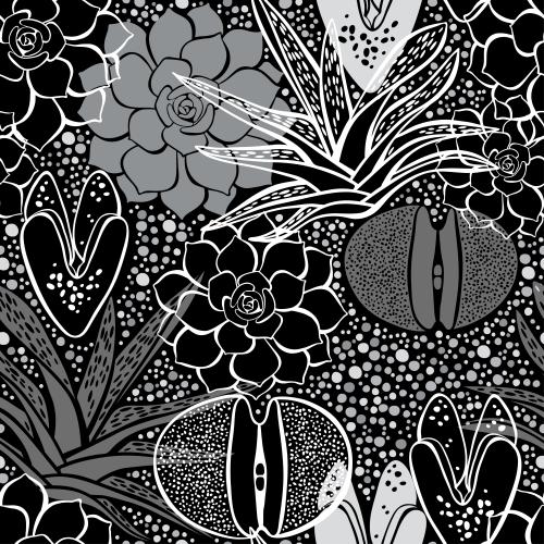 Pea. Vector silhouettes and contours of succulents on black in checkered
