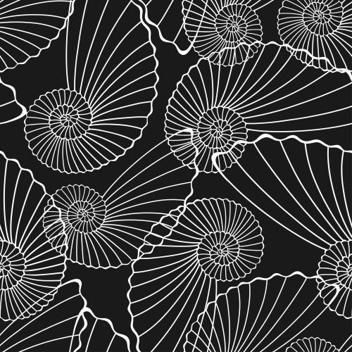 Vector image shells white outlines on black
