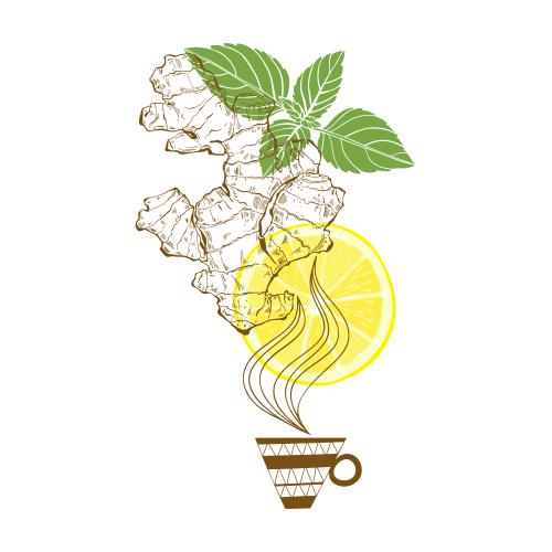 Vector for tableware Printing tea with ginger, mint, and lemon on white