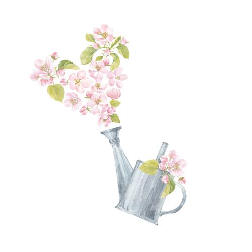 Raster image spring composition with apple tree flowers and a watering can on white