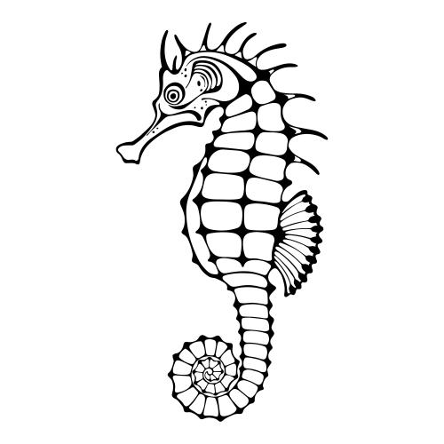 Illustration sea horse, black outline on white