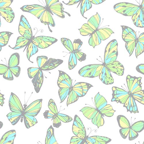 Vector image colorful butterflies on white