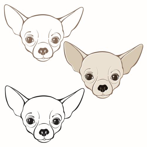Chihuahua. Vector chihuahua faces, three isolated elements on white