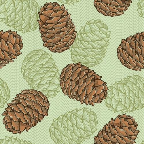 Cone. Vector cedar cones, contours and firm silhouettes on green