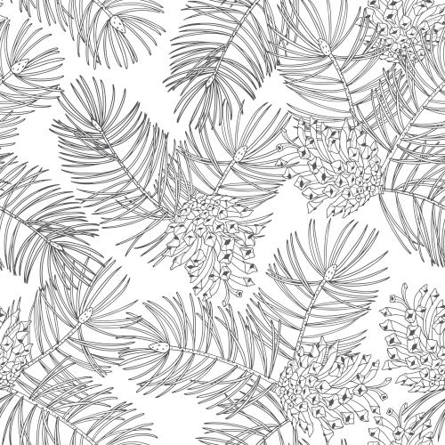 Cone. Vector coniferous branches with cones on white