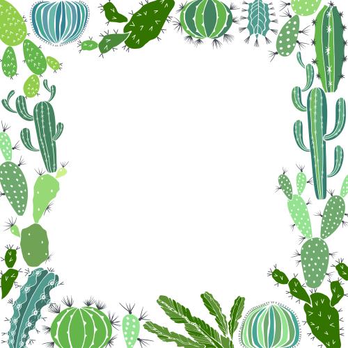 Cactus. Vector square frame colorful cactus silhouettes on white