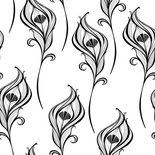 Feather. Vector peacock feathers, black silhouettes on white