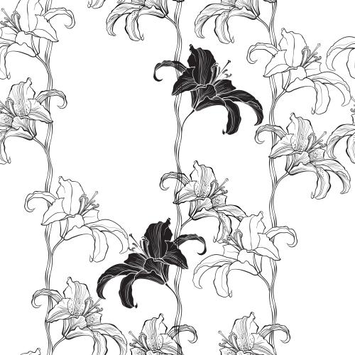 Lily. Vector lilies on white