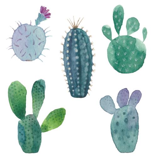 Cactus. Vector five different watercolor cacti on white