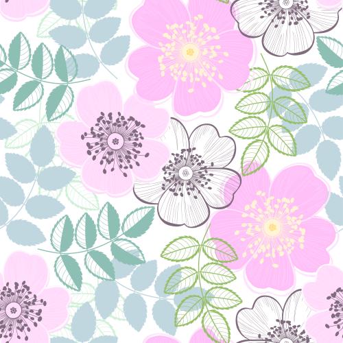Rosehip. Vector rosehip, flowers and leaves on white