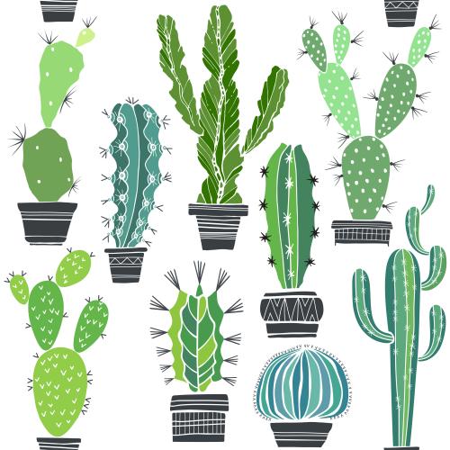 Cactus. Vector cacti in pots, colored silhouettes on white
