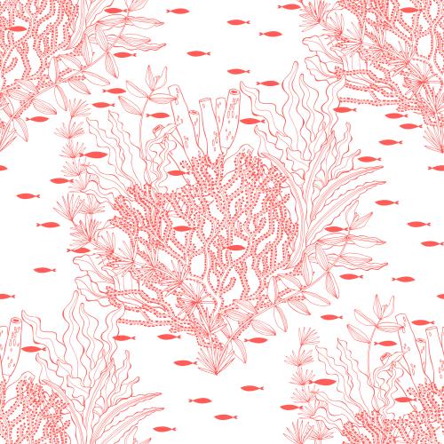Illustration seaweed, corals, and small fish on white