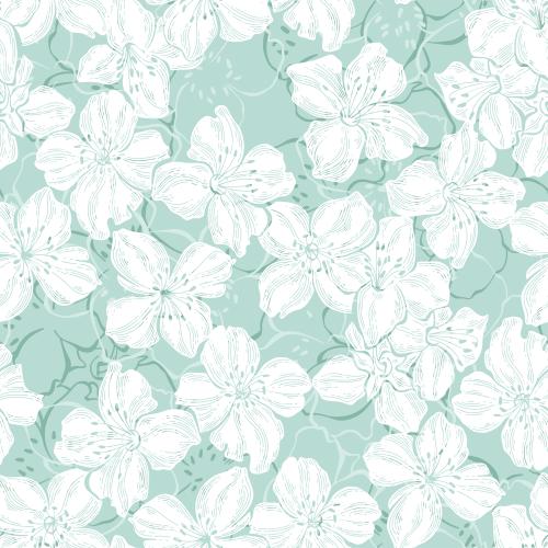 Jasmine. Vector jasmine flowers, silhouettes and contours on soft green