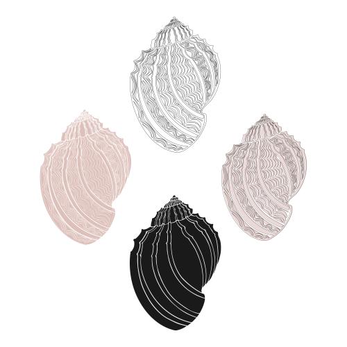 Illustration shells on white, four options