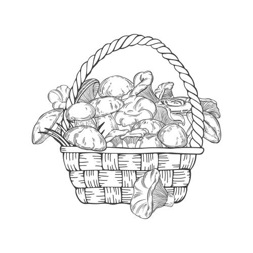 Vector image basket with mushrooms