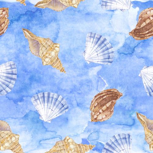 Shell. Vector watercolor shells on blue watercolor