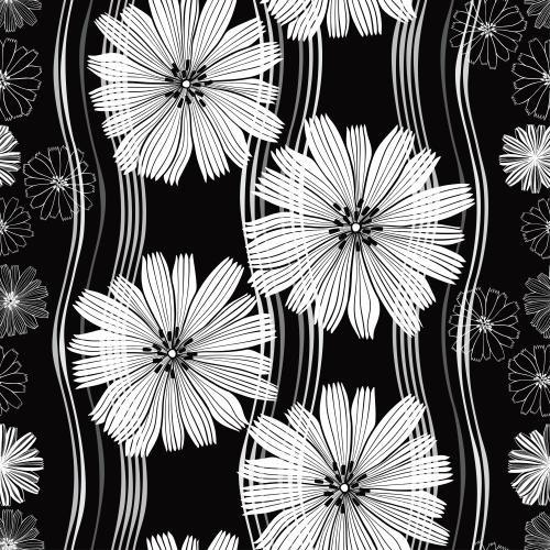 Chicory. Vector decorative silhouettes and contours of flowers vertical wavy lines on black