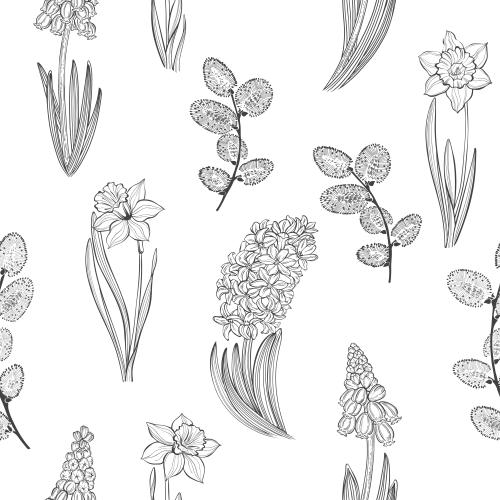 Spring. Vector spring flowers: muscari, hyacinths, daffodils and willow twigs on white