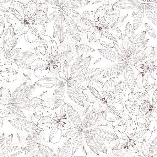 Alstroemeria. Vector alstromeria, contours of flowers and leaves on light