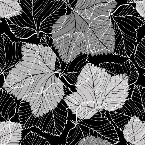 Vector image lace white contours and gray leaf silhouettes on black