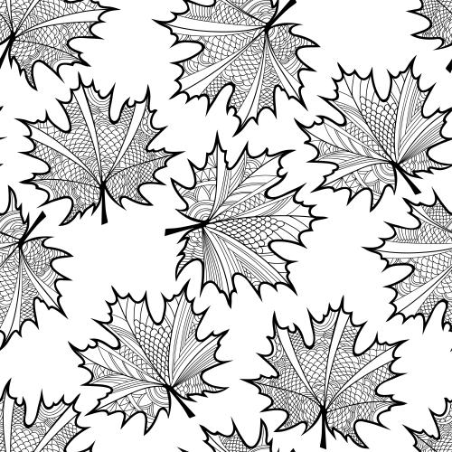 Maple leaf. Vector maple leaves black decorative outlines on white