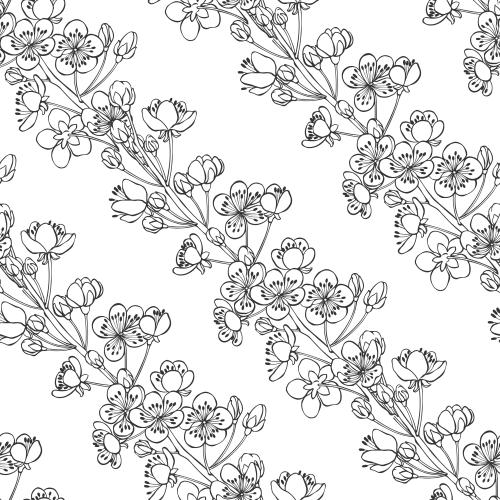 Apricot. Vector blooming apricot branches on white diagonal composition