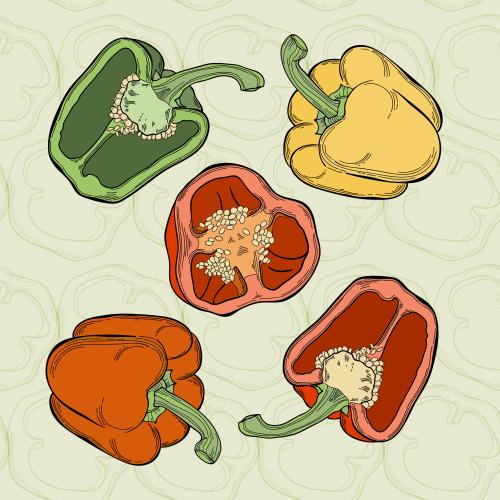 Spice. Vector red, green and yellow sweet pepper