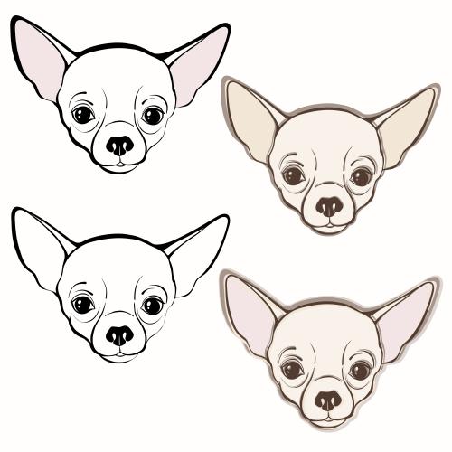 Chihuahua. Vector cute chihuahua faces, four isolated elements on white