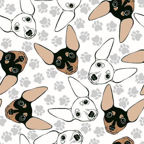 Dog. Vector cute pinscher faces, paw prints on white