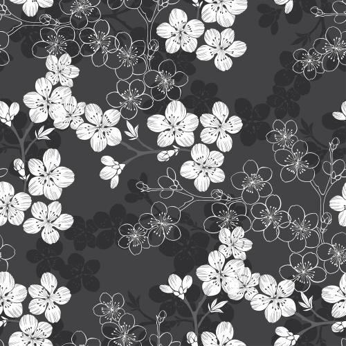 Sakura. Vector blooming cherry blossom branches contours and silhouettes on dark gray