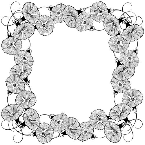 Square. Vector morning glory flowers square frame on white