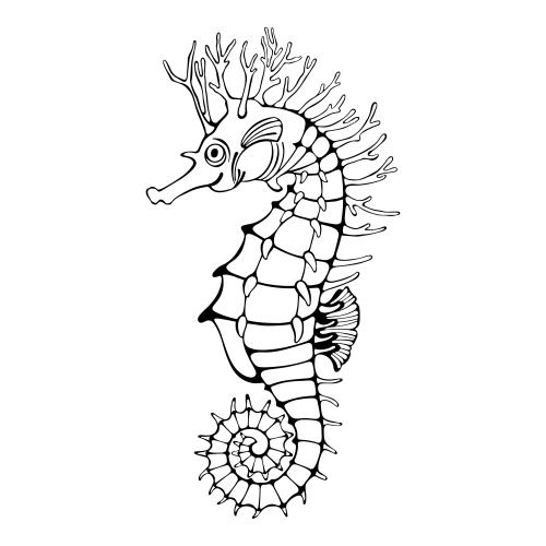 Illustration seahorse black outline on white