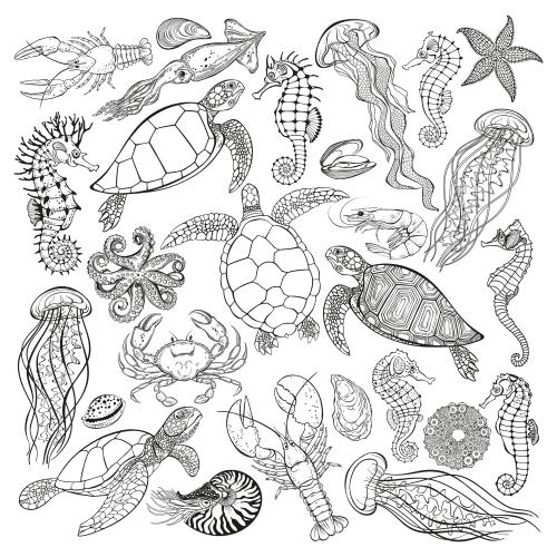 Nautilus. Vector turtles jellies seahorses calamari lobster squid octopus nautilus crab shrimp mussels oysters sea urchin on white