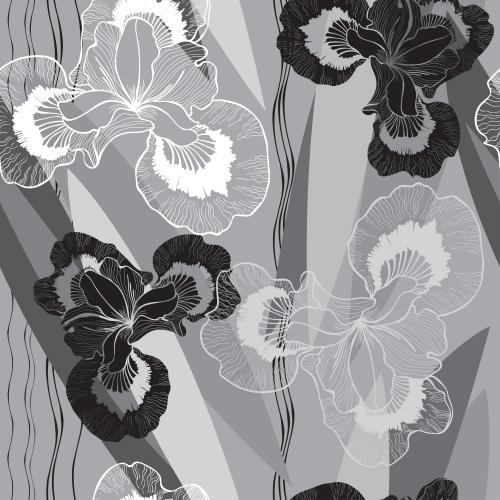 Iris. Vector iris flowers, silhouettes and contours on abstract monochrome