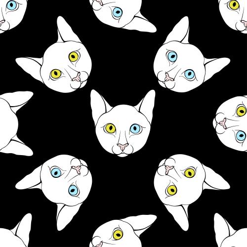Illustration cute cat faces with colored eyes on black