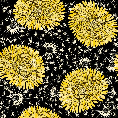 Dandelion. Vector fluffy and yellow dandelions on black