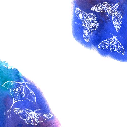 Illustration night butterflies