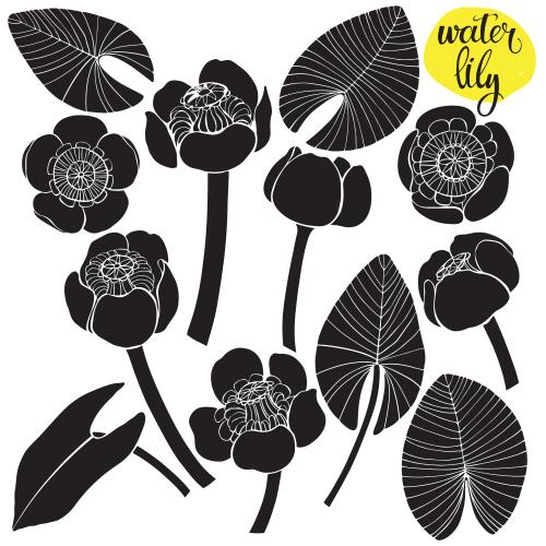 Water lily. Vector water lilies leaves black silhouettes on white various options