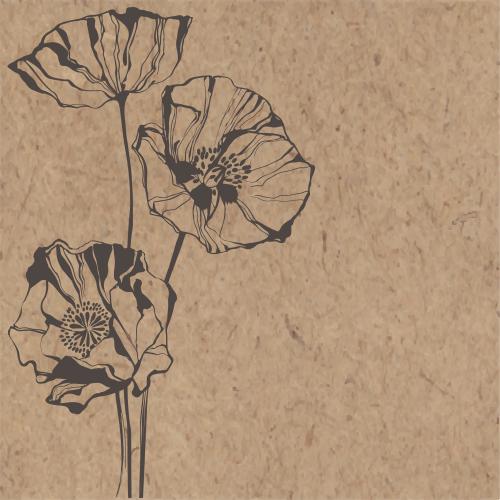 Poppy. Vector three poppy flowers place for text on craft