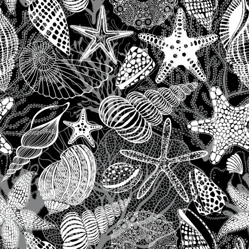 Nautilus. Vector sea stars shells nautilus sea urchin corals algae white and gray silhouettes and outlines on black
